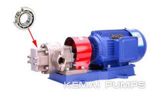 Gear Pump With Outboard Bearing