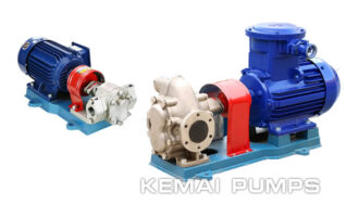 Stainless Steel Gear Pump