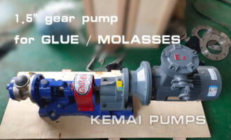 Molasses Gear Pump
