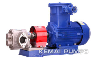 Common failure of pump and motor