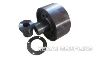 LZZ Type Flexible Coupling With Brake Wheel