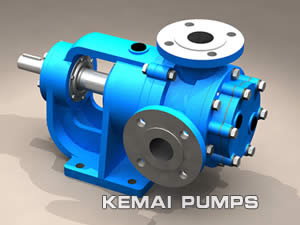 Internal Gear Pump