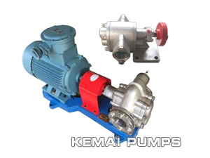 Stainless Steel Gear Pump