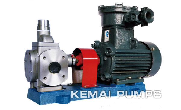 Stainless steel gear pump External